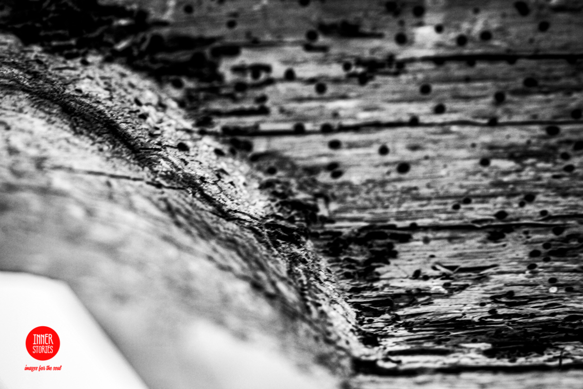 aranciaia abstract-11