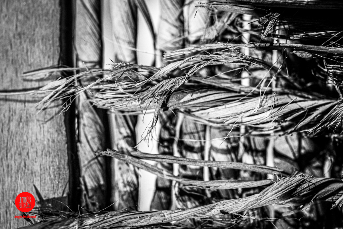 aranciaia abstract-12