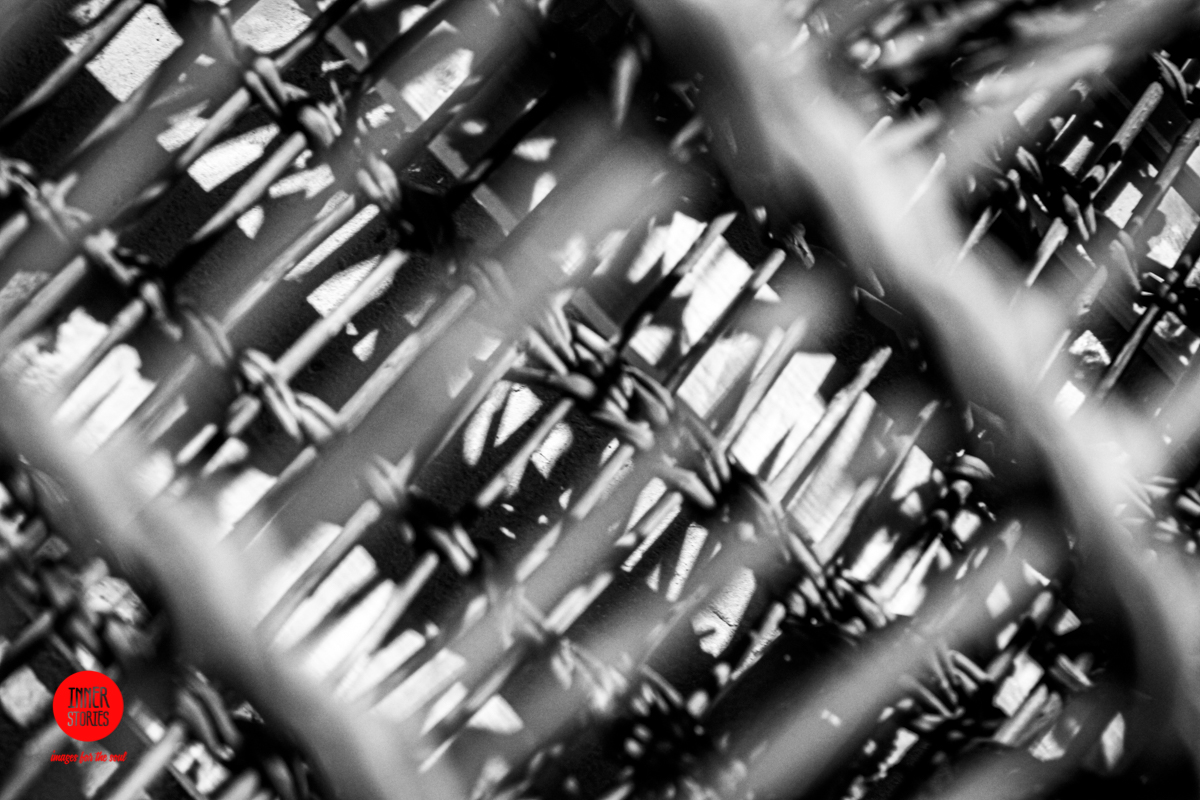 aranciaia abstract-2