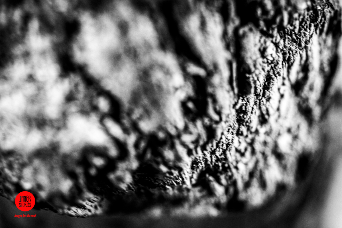 aranciaia abstract-21