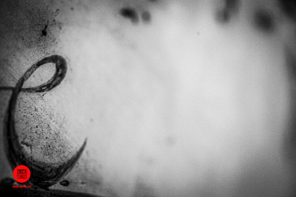 aranciaia abstract-26