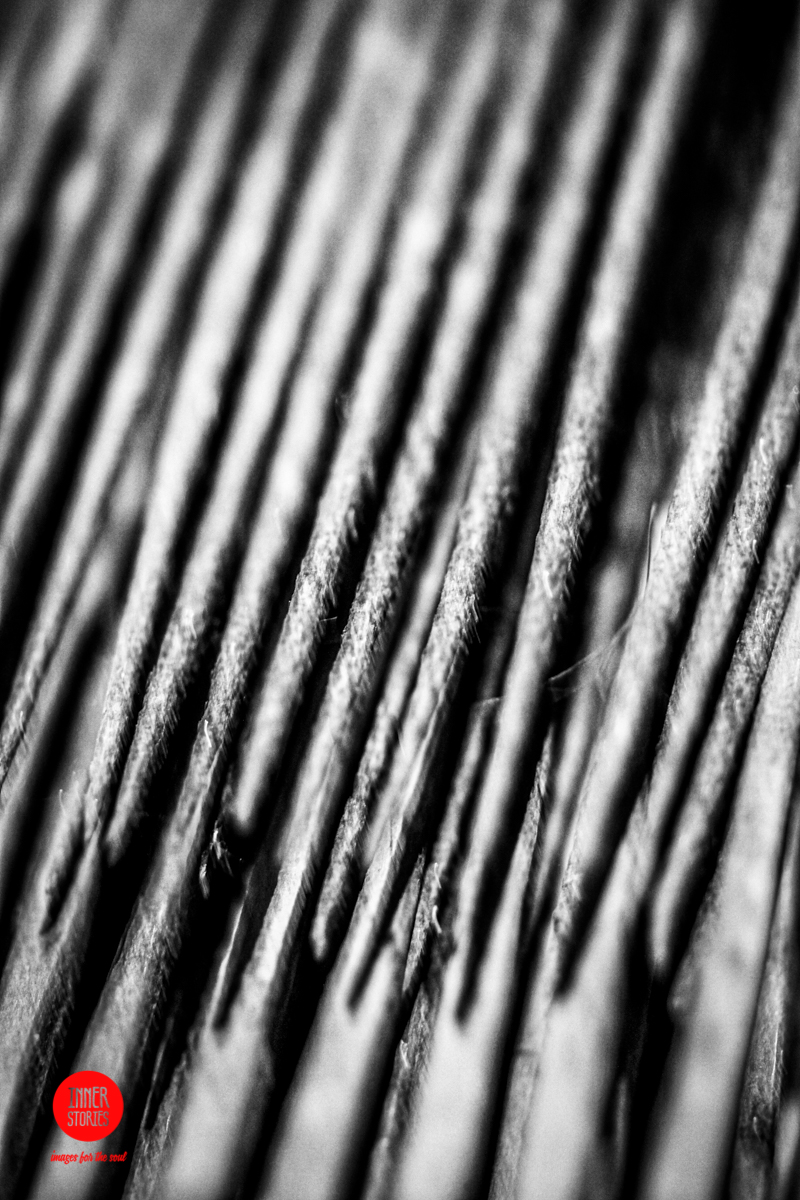 aranciaia abstract-38