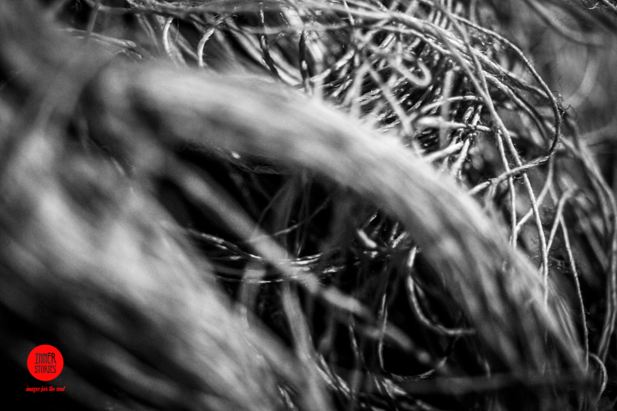 aranciaia abstract-39