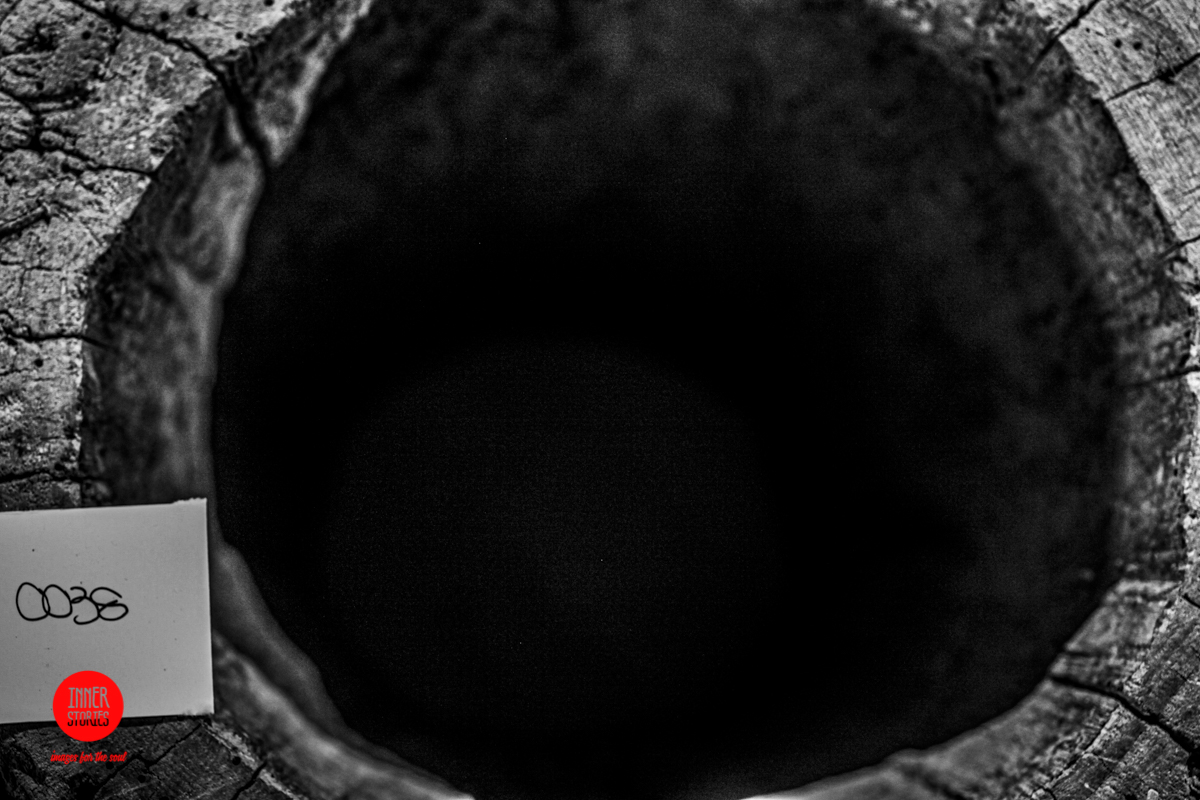 aranciaia abstract-4