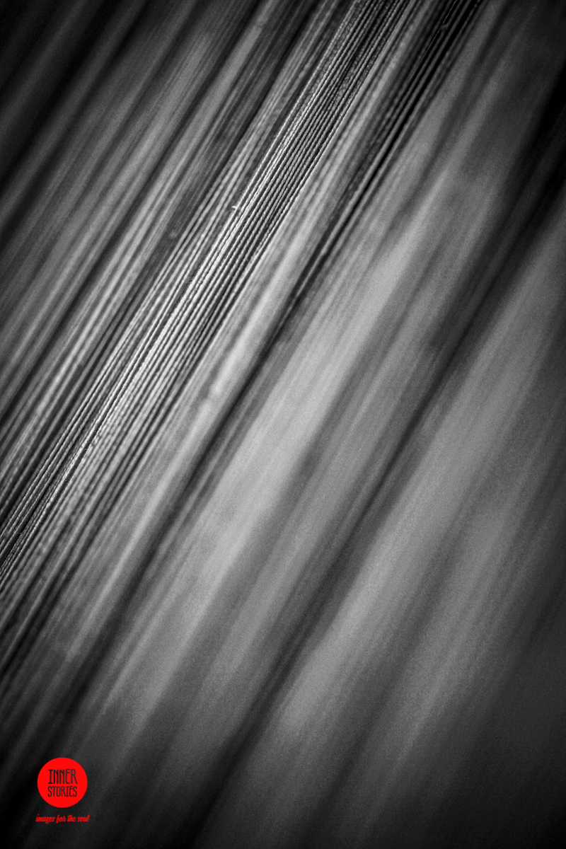 aranciaia abstract-40