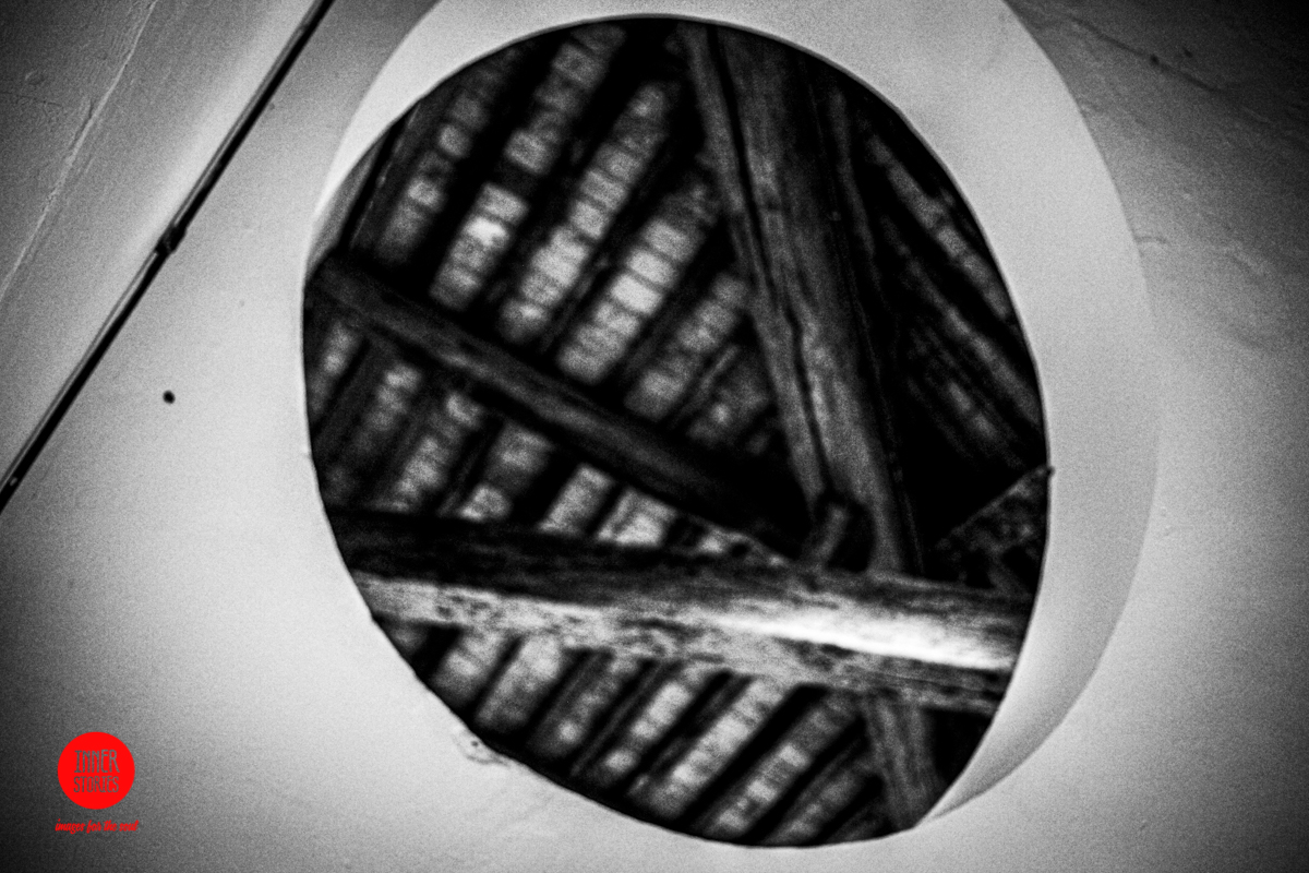 aranciaia abstract-41