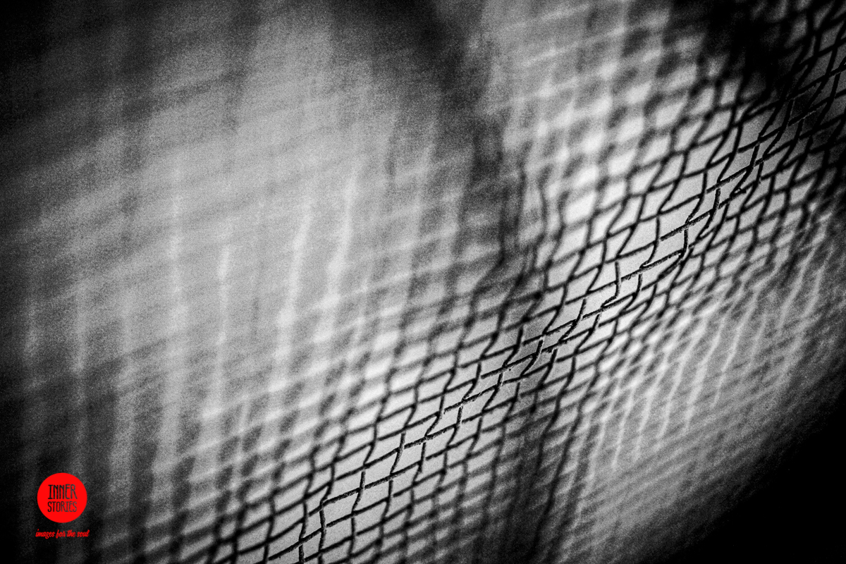 aranciaia abstract-44