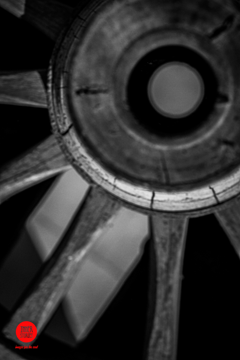 aranciaia abstract-5